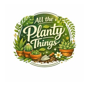 website image carousel (27)